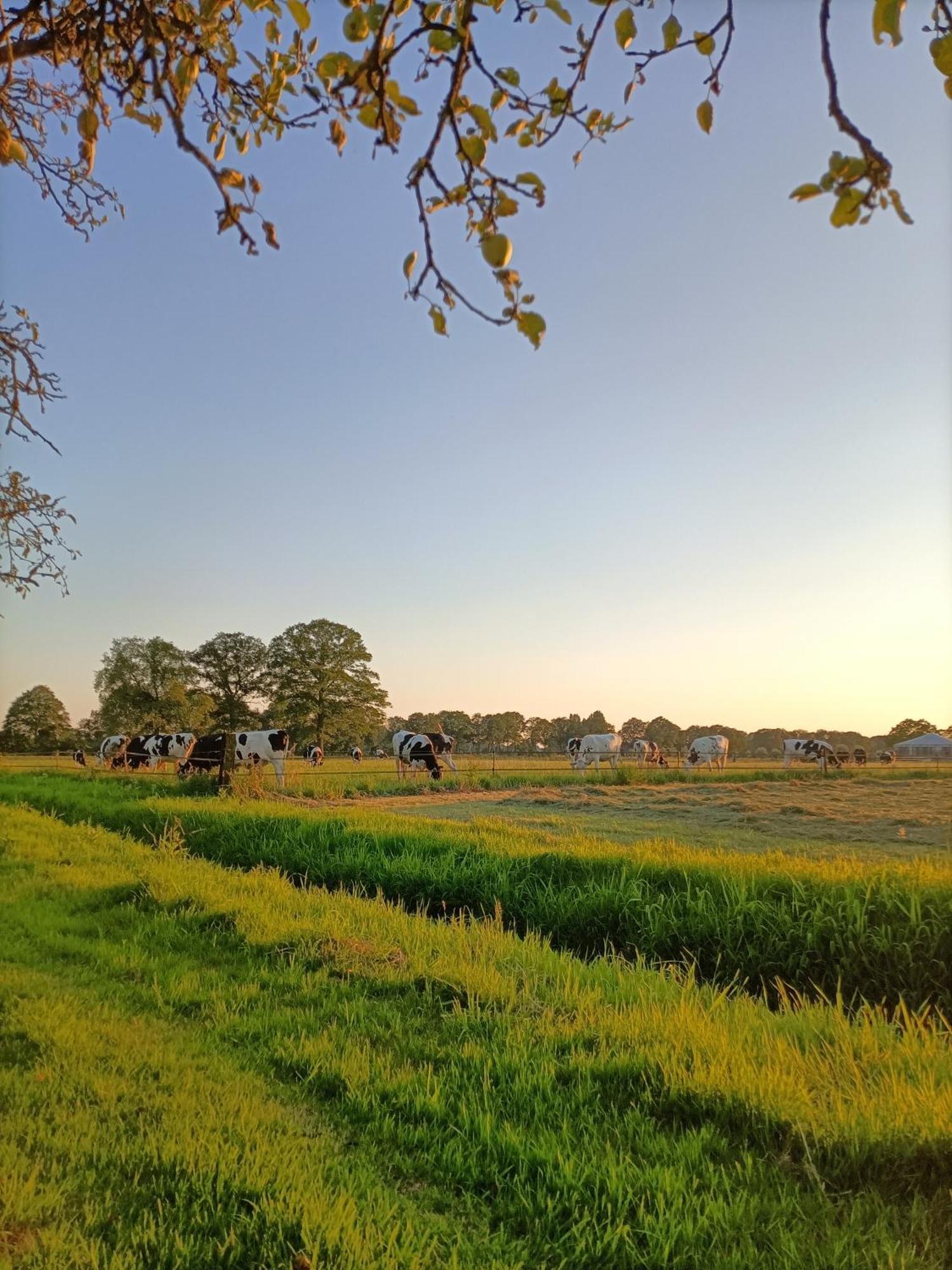 Bed And Breakfast, De Heidedijk Terborg Екстер'єр фото